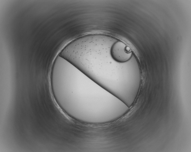 X0000113000906200908270917