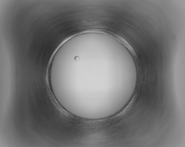 X0000113000908200908270917