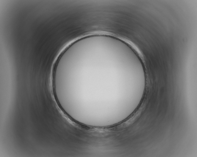 X0000113000910200908270917