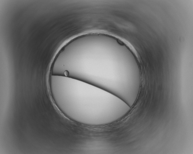 X0000113000911200908270917