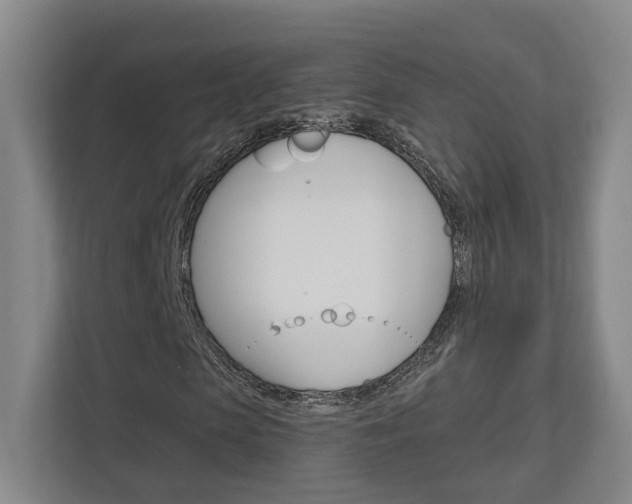 X0000113000913200908270916