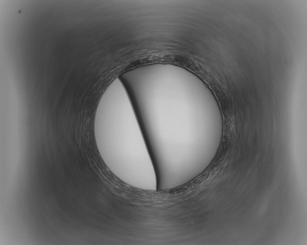 X0000113000914200908270916