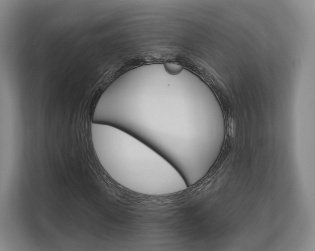 X0000113000915200908270916