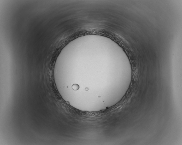 X0000113000917200908270916