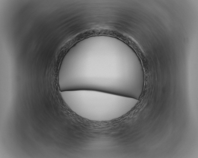 X0000113000919200908270916