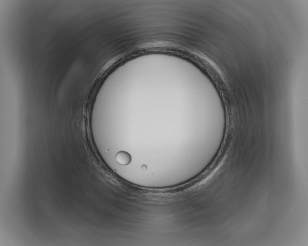 X0000113000921200908270916