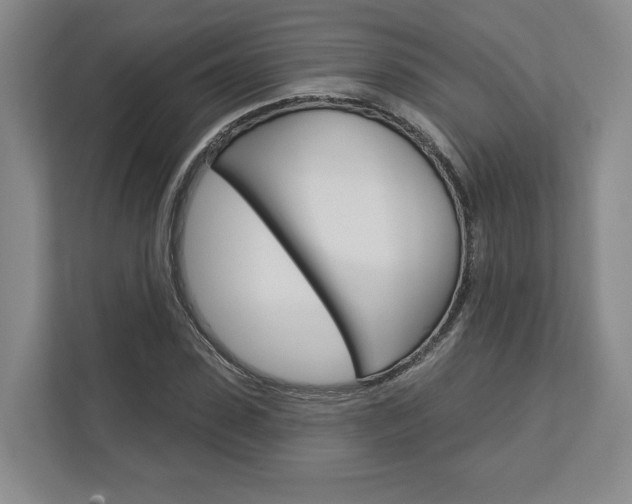 X0000113000923200908270916