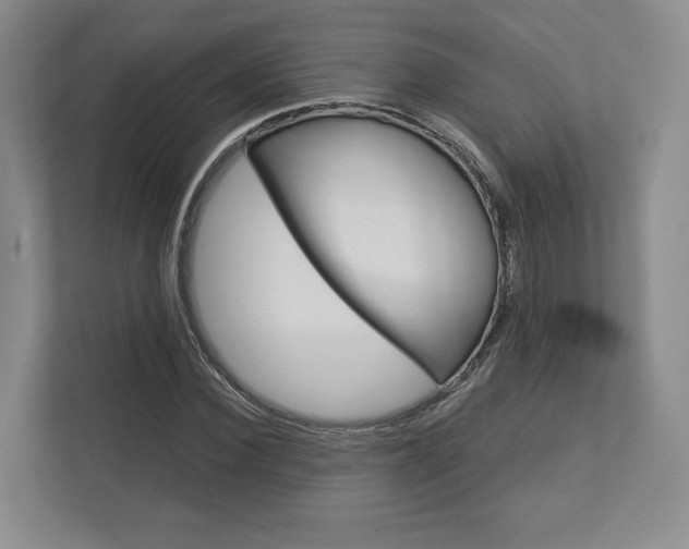 X0000113000924200908270916
