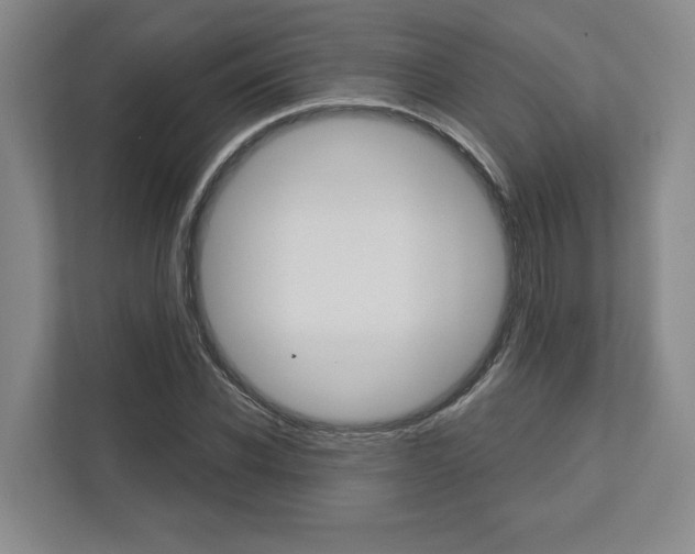 X0000113000926200908270916