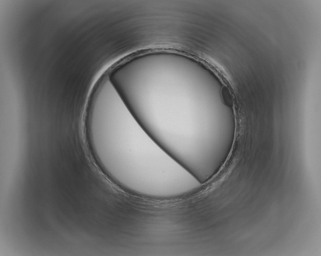 X0000113000928200908270917
