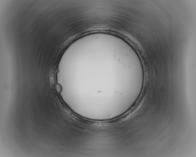 X0000113000929200908270917