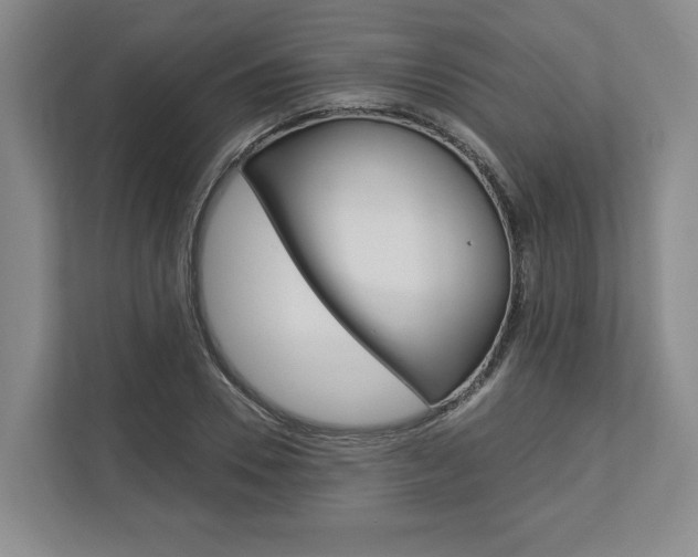 X0000113000930200908270917