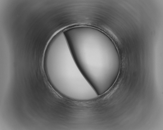 X0000113000932200908270917