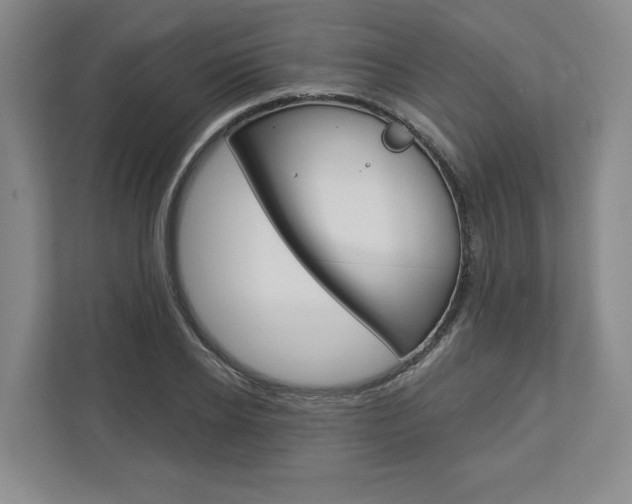 X0000113000934200908270917