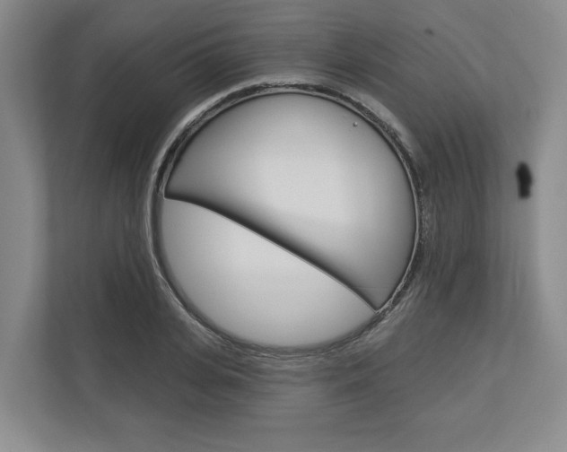 X0000113000935200908270917