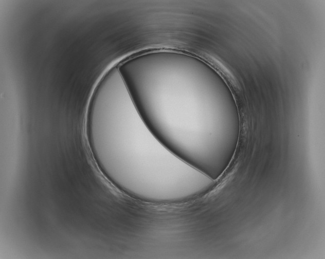 X0000113000940200908270917