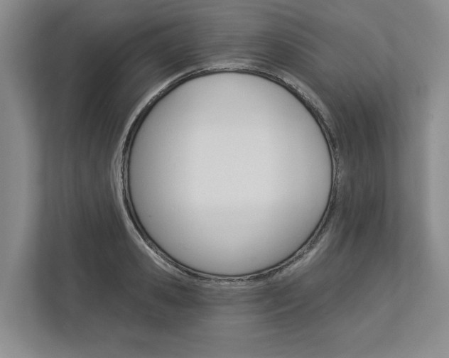 X0000113000941200908270917