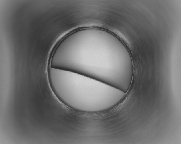 X0000113000943200908270917