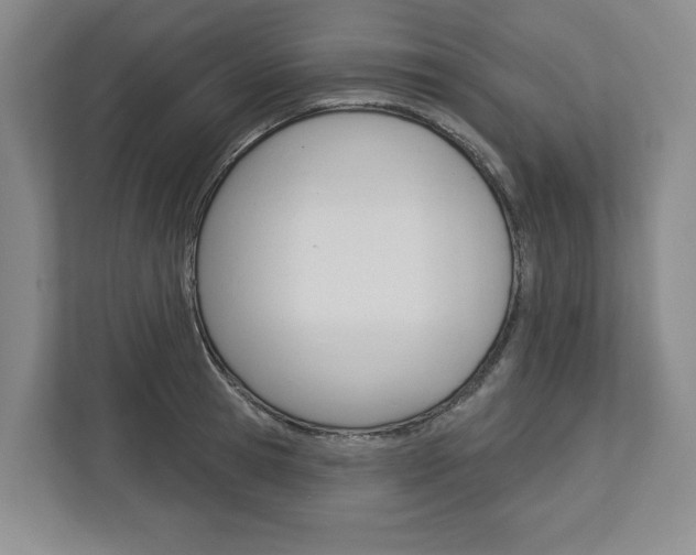 X0000113000945200908270917