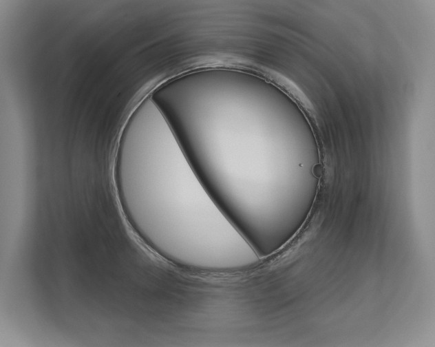 X0000113000946200908270917