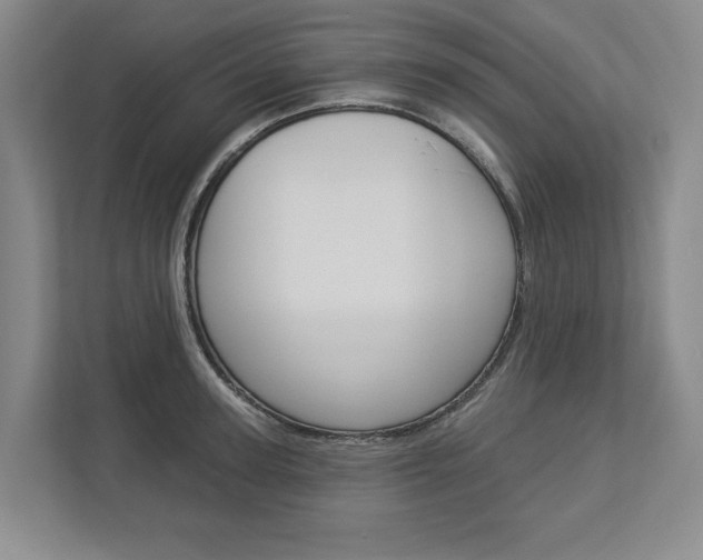 X0000113000947200908270917