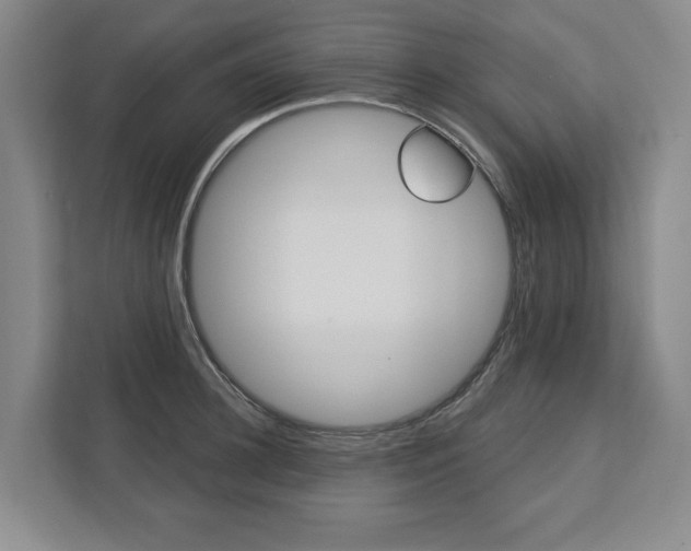 X0000113000948200908270917