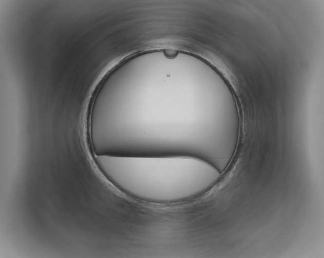 X0000113000949200908270917