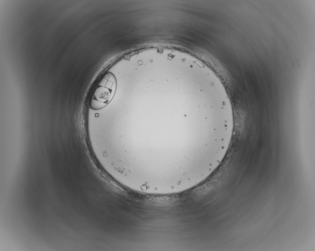 X0000113000950200908270917