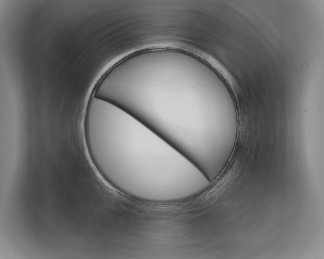 X0000113000951200908270917