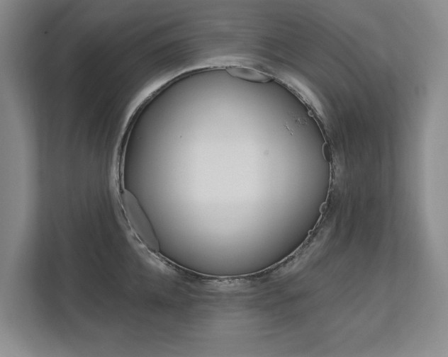 X0000113000952200908270917