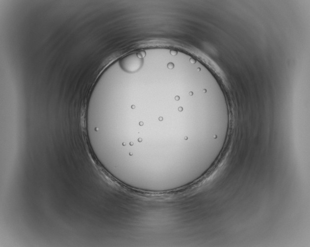 X0000113000953200908270917
