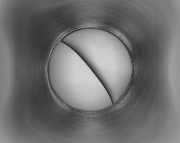 X0000113000954200908270917