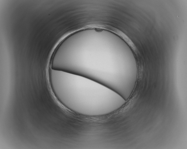 X0000113000955200908270917