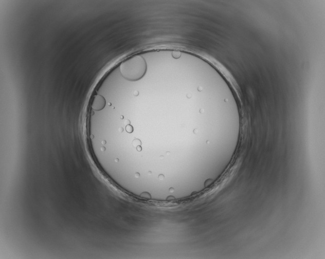 X0000113000957200908270917