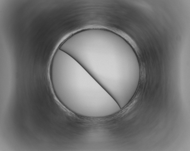 X0000113000958200908270917