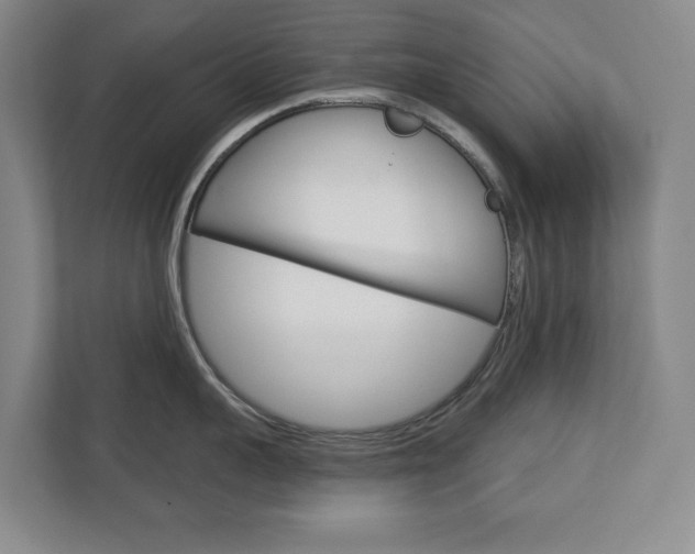 X0000113000959200908270917