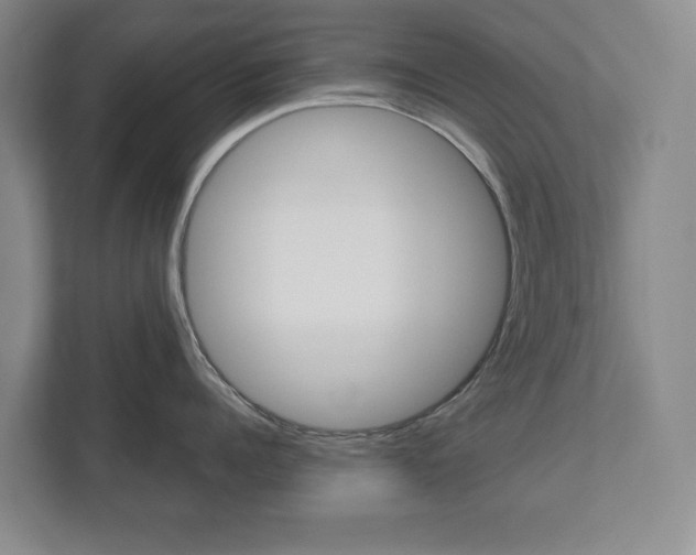 X0000113000960200908270917