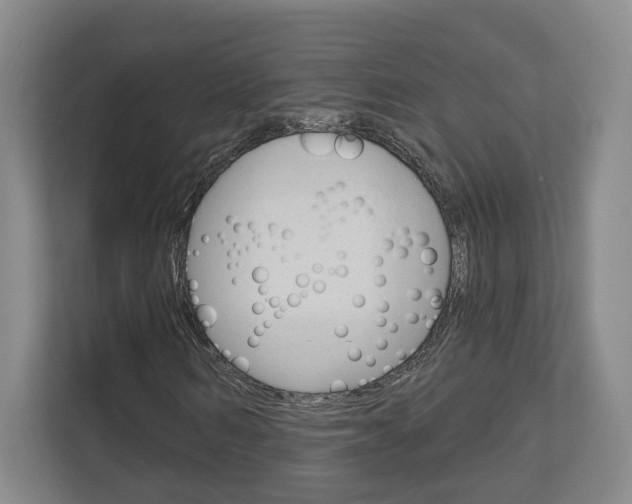 X0000113000962200908270916