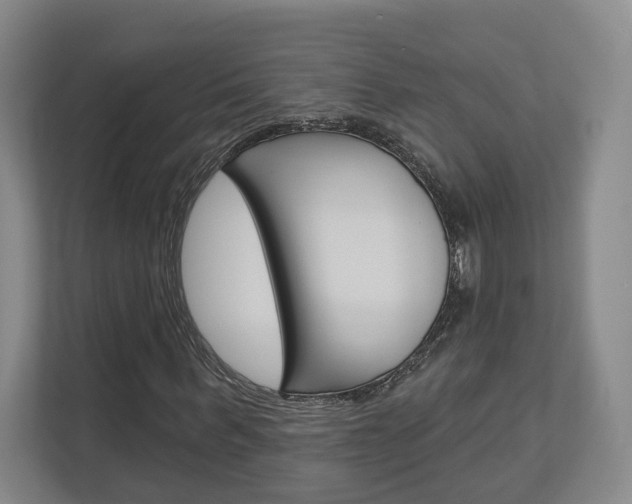 X0000113000963200908270916
