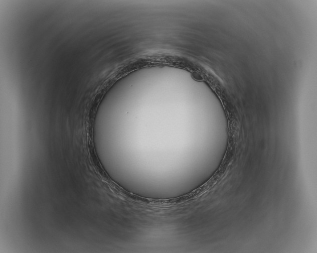 X0000113000965200908270916