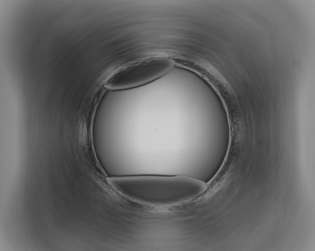 X0000113000969200908270916