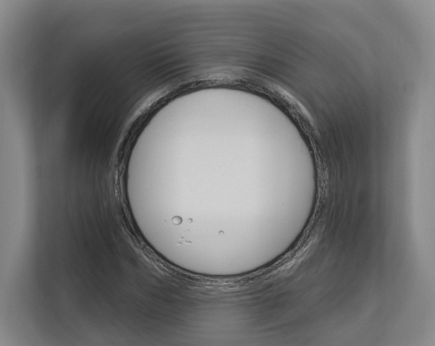 X0000113000970200908270916