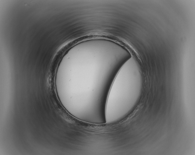 X0000113000971200908270916