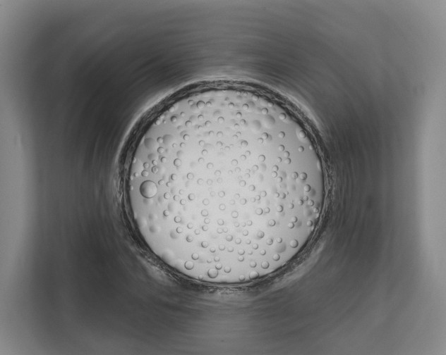 X0000113000974200908270916