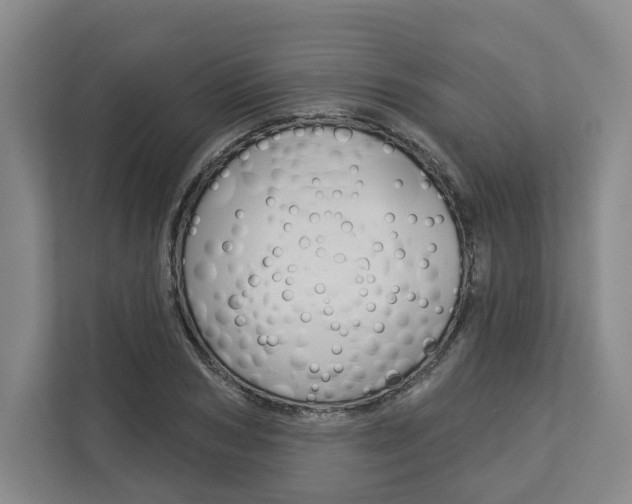 X0000113000978200908270916