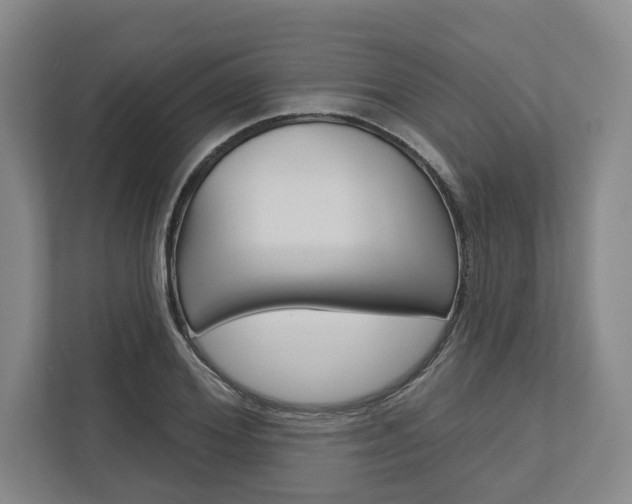 X0000113000980200908270916