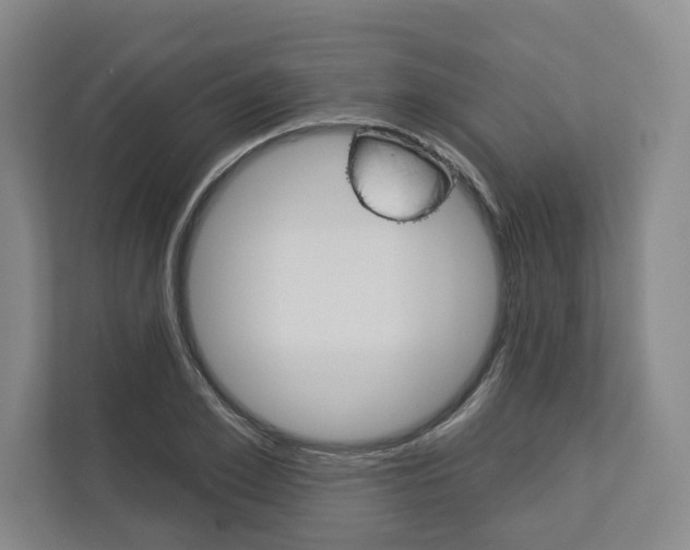 X0000113000981200908270916