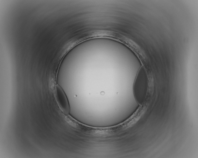 X0000113000985200908270916