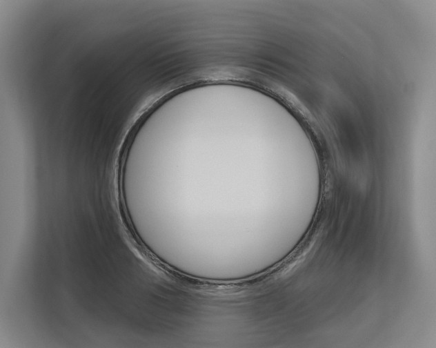 X0000113000986200908270916