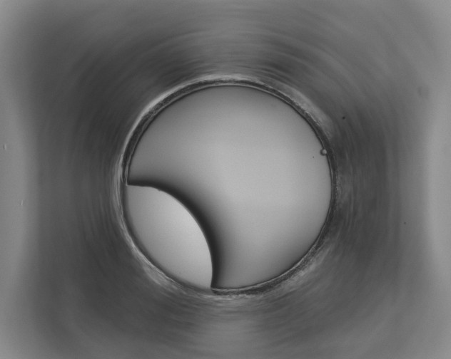 X0000113000988200908270916